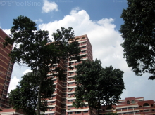 Blk 440 Hougang Avenue 8 (Hougang), HDB 4 Rooms #250732